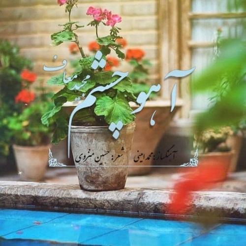 دانلود آهنگ آهو چشم مجید معاف